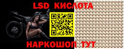Альфа ПВП Кимры