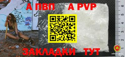 не бодяженный Кингисепп